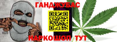 индика Дубна