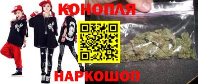 индика Дубна