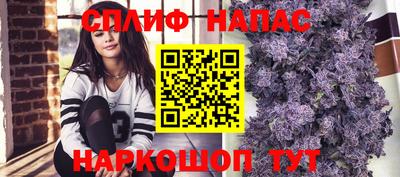 мдпв Донской