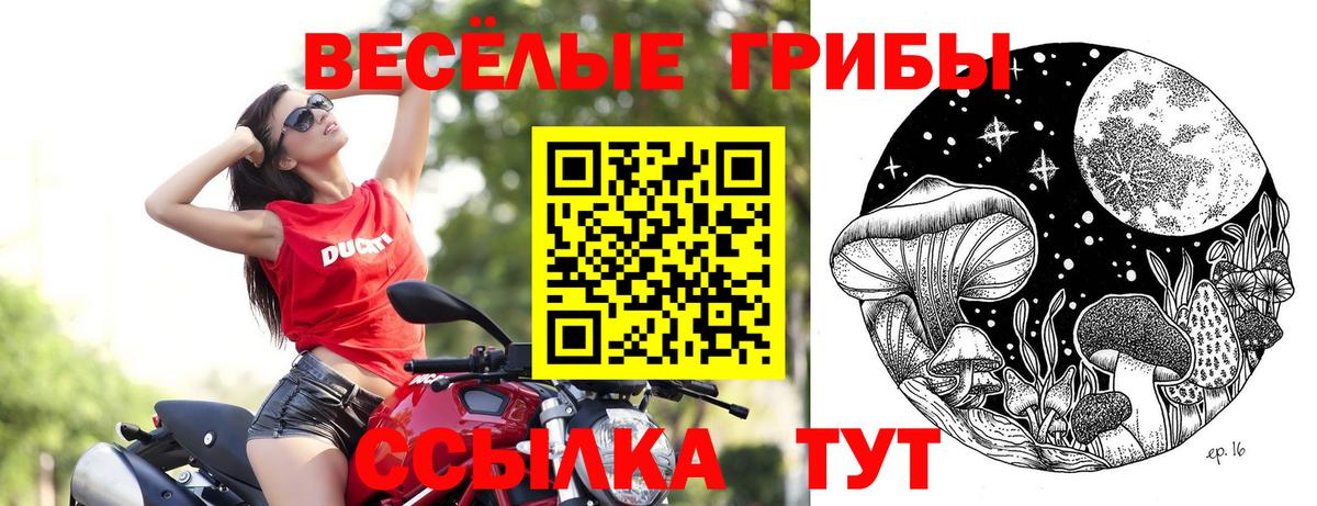 купить наркотик  Вход с VPN  Мариинск  Псилоцибиновые грибы Cubensis 